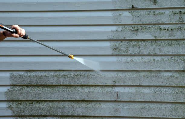 Best Sidewalk and Walkway Cleaning  in Black Forest, CO