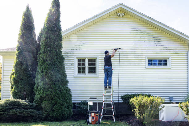 Best Graffiti Removal  in Black Forest, CO