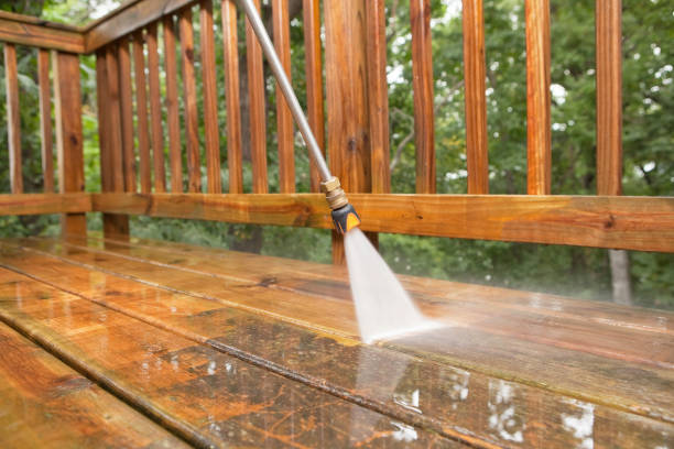 Best Spring Cleaning  in Black Forest, CO