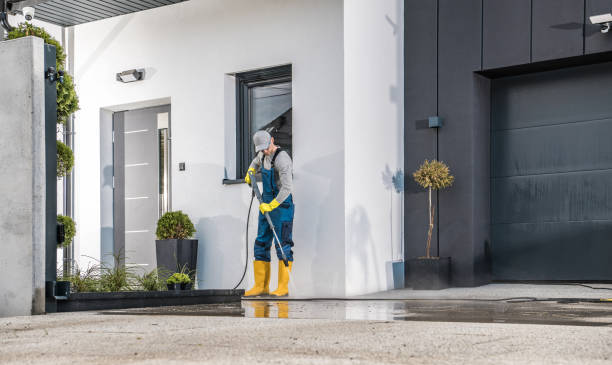 Best Building Exterior Washing  in Black Forest, CO