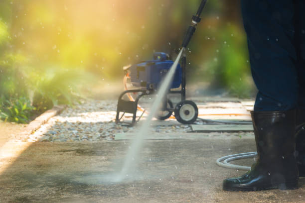 Pre-Holiday Cleaning in Black Forest, CO